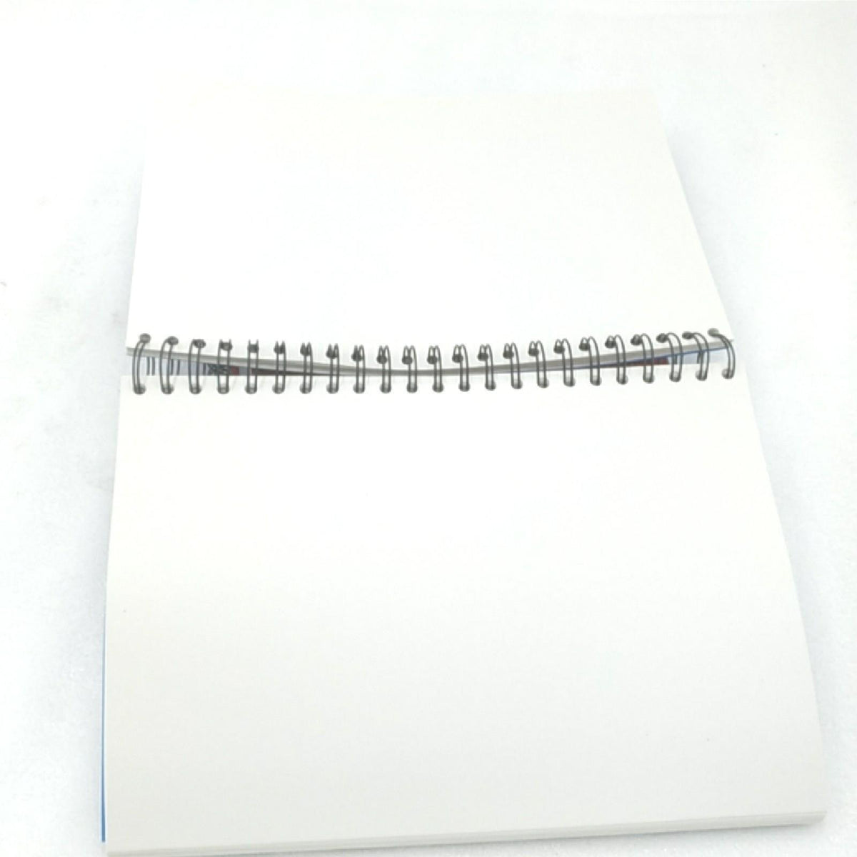 Clairefontaine 8354C Pack 5 Spiralbloecke Zapbook A4 160