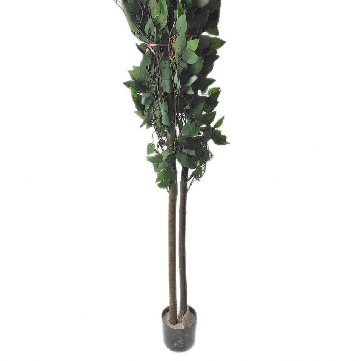 Maia künstlicher Ficus 150 cm realistische dekorative Zimmerpflanze Kunstpflanze