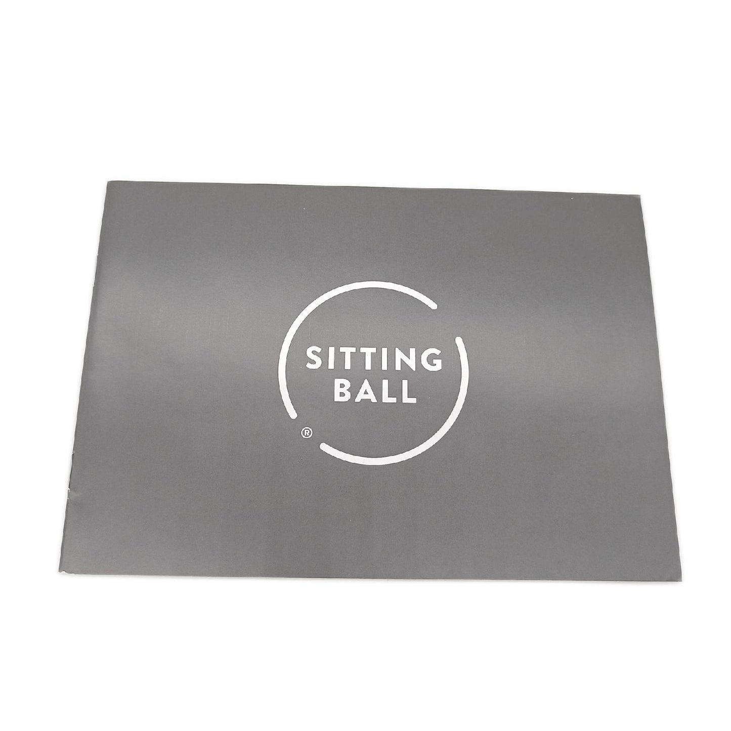 Sitting Ball Gymnastikball Sport und Freizeit Felt Beige 65 cm Fitness Training