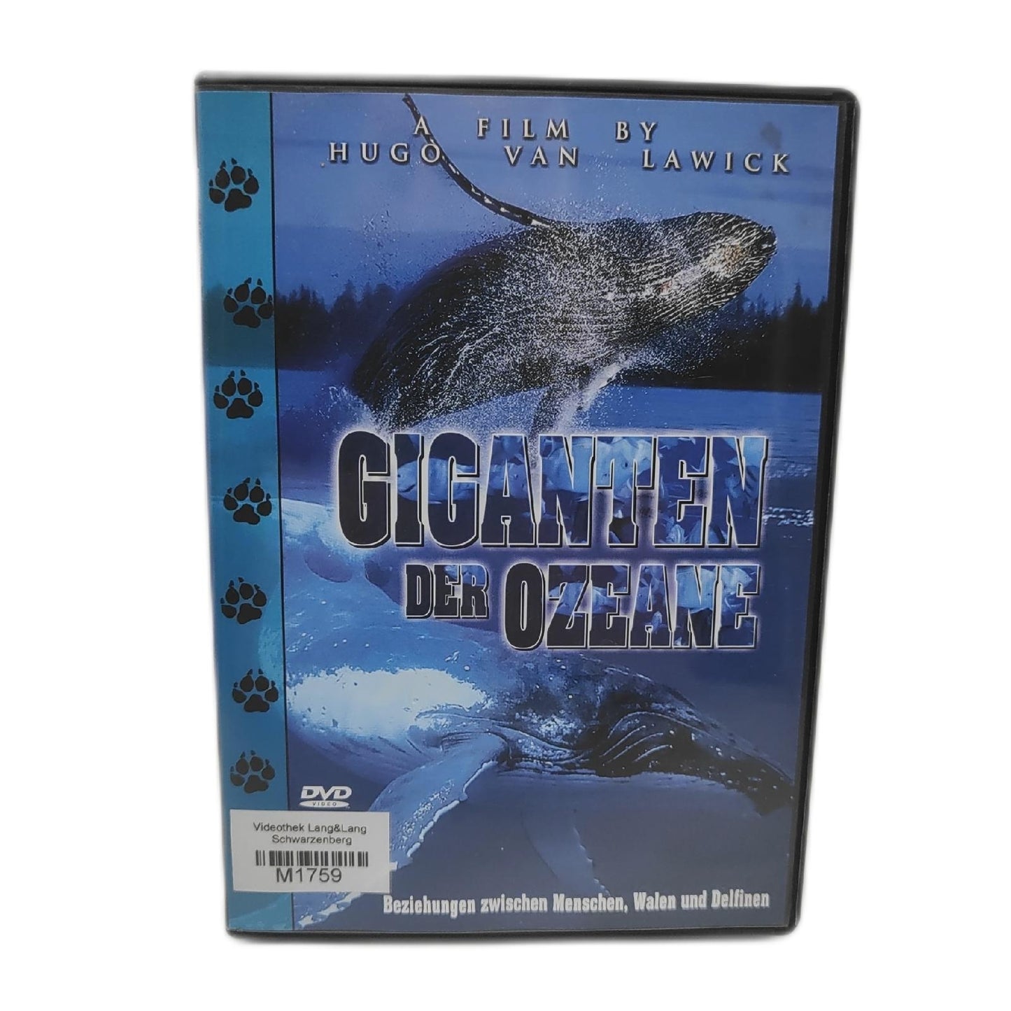 Giganten der Ozeane
