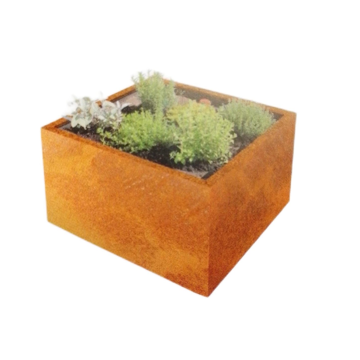 Palatino Pflanzkübel Gartenartikel Clara Cortenstahl quadratisch robust feuchteresistent