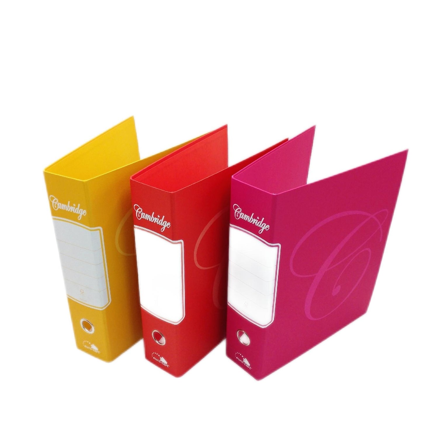 Aufzeichnungsgerät Set Etui Ringbuch Ordner A4 Rückenbreite 8 cm Organisation