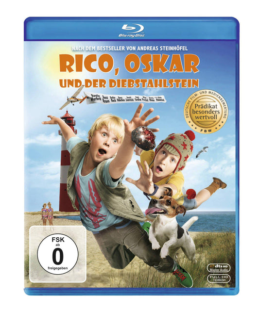 Rico, Oskar und der Diebstahlstein [Blu-ray]
