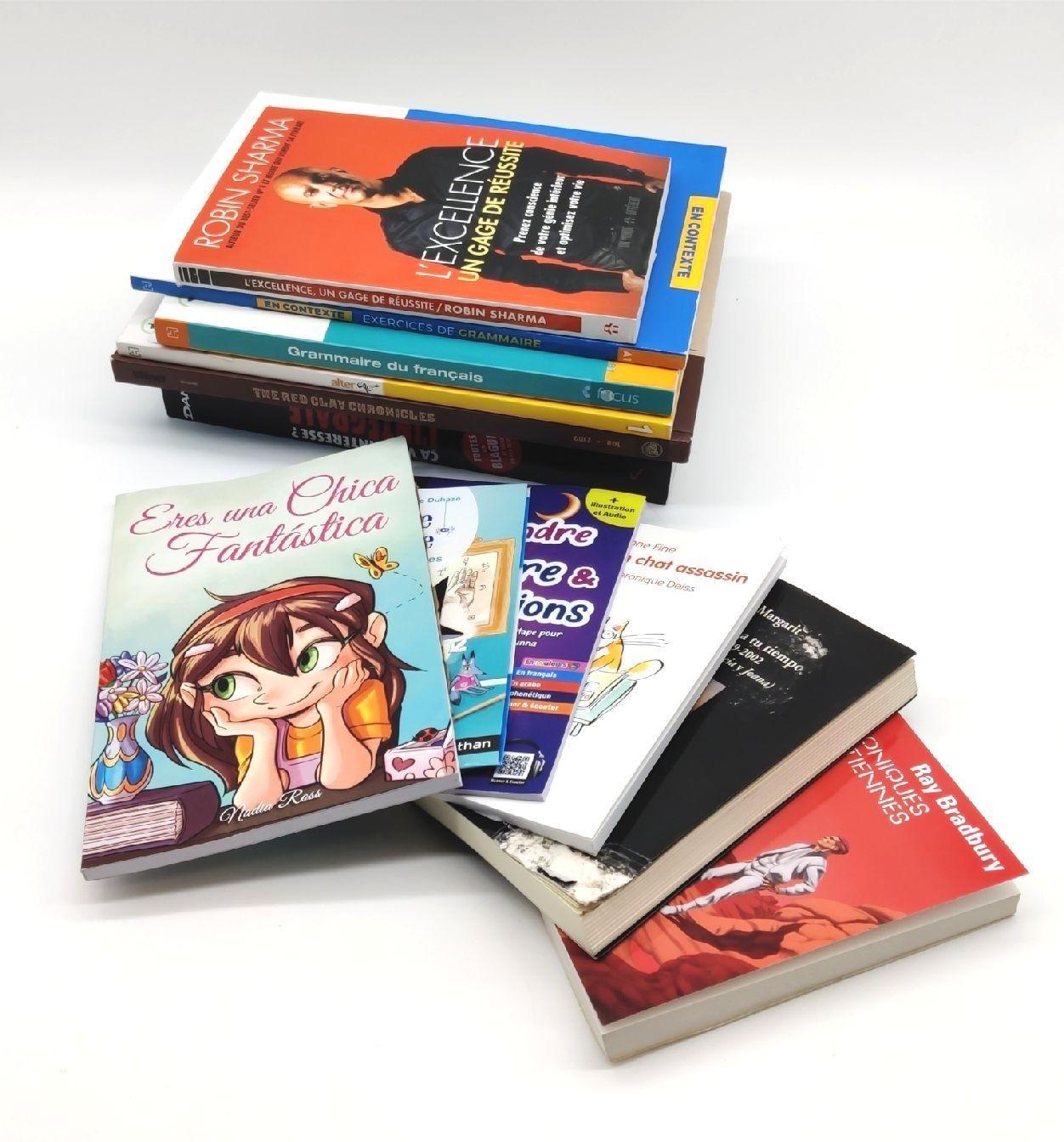 Bulk Kundenretouren Roman Buchpaket Bücher unsortiert gemischte Genre Französisch Lesestoff