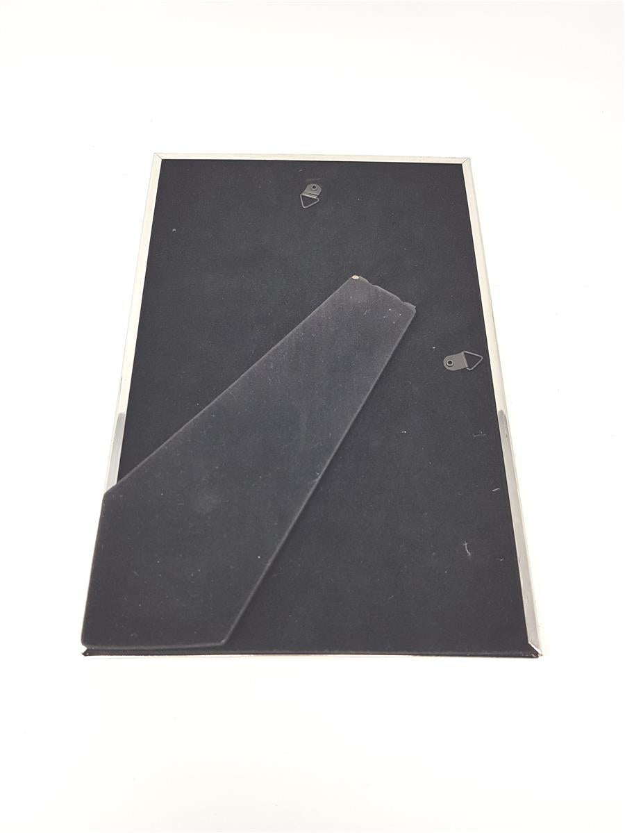 Walther Bilderrahmen Rahmen Fotografie Chloe WD030S elegant Metall Silber 20x30 cm