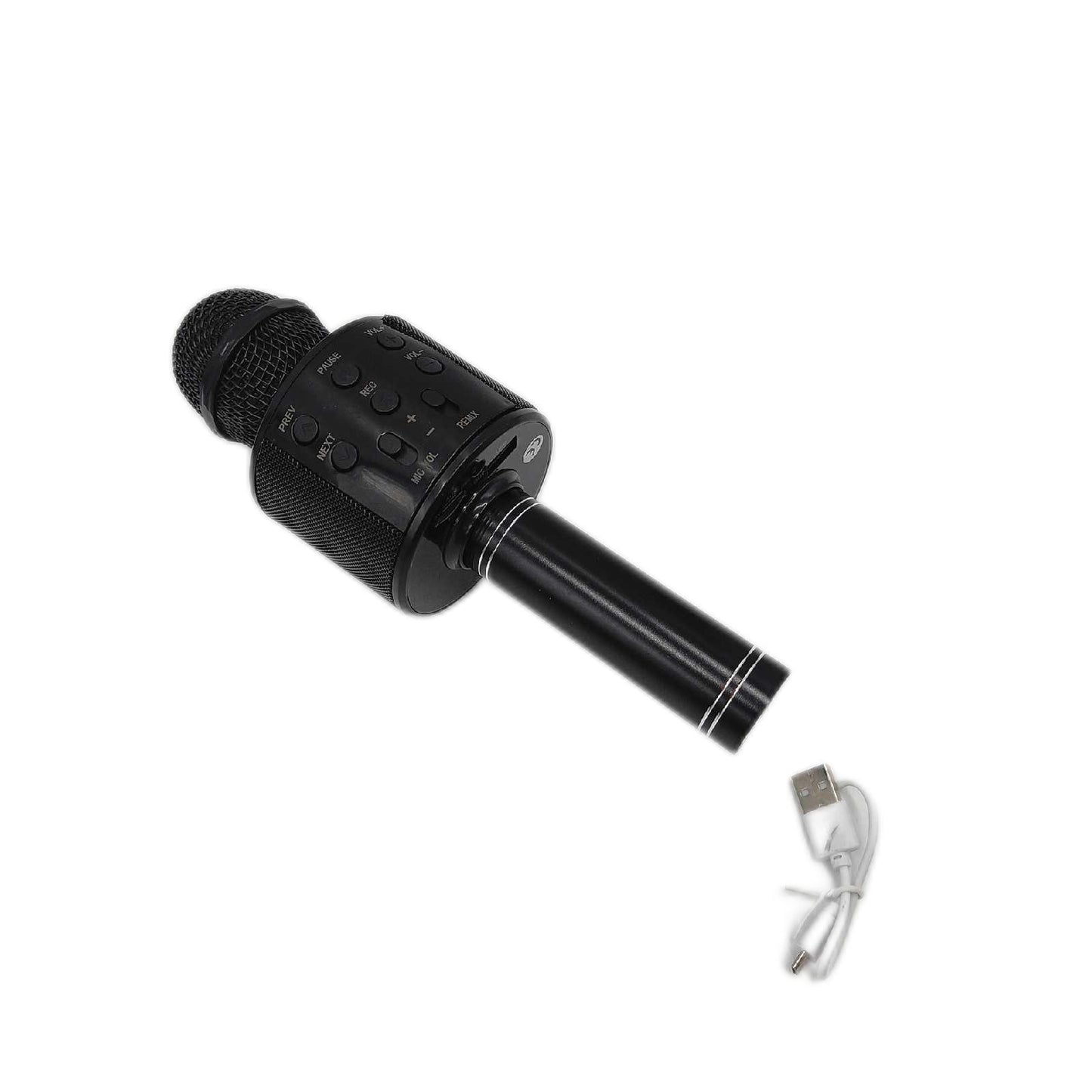 PARENCAltoparlante Microfono Bluetooth Wireless Karaoke Tragbarer Lautsprecher