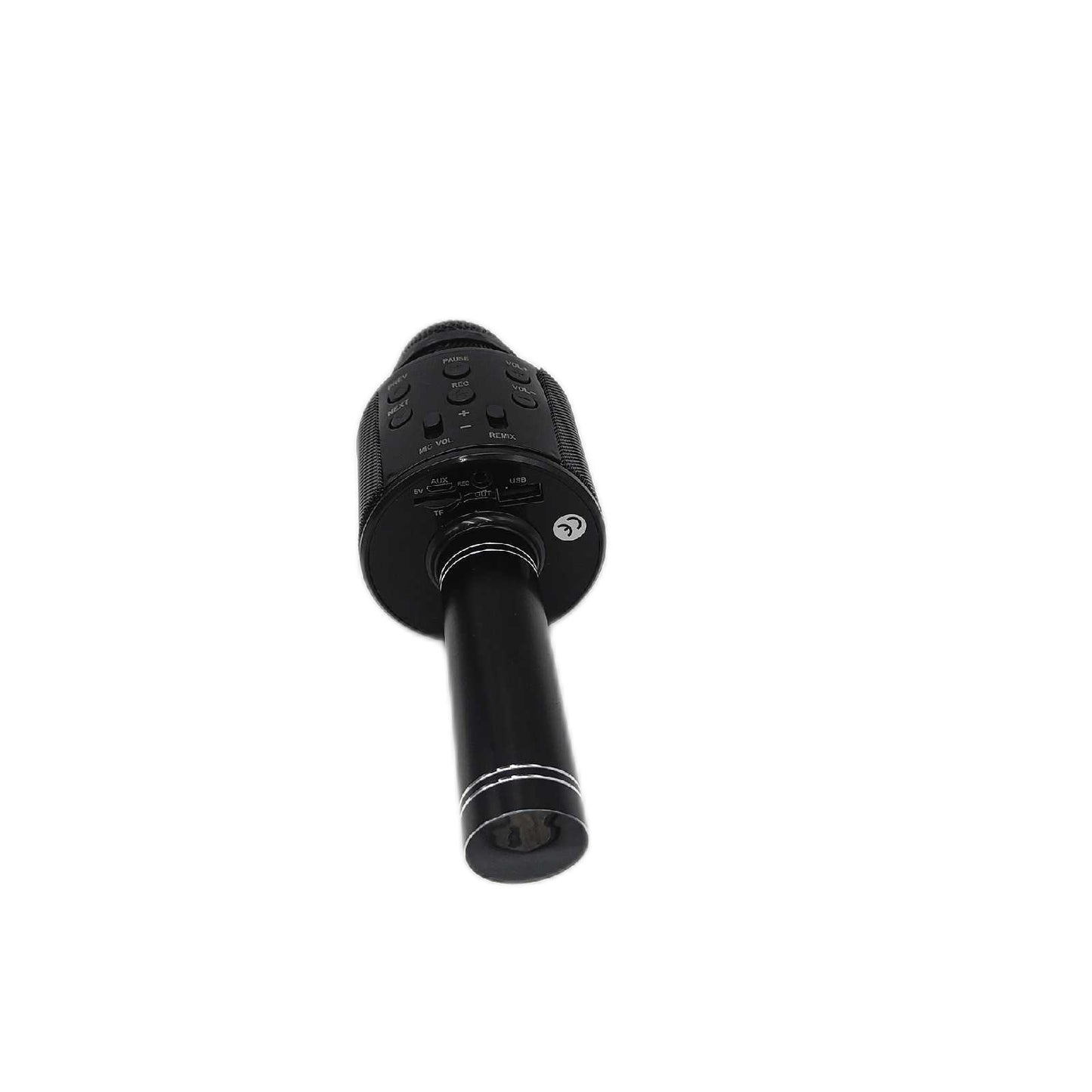 PARENCAltoparlante Microfono Bluetooth Wireless Karaoke Tragbarer Lautsprecher