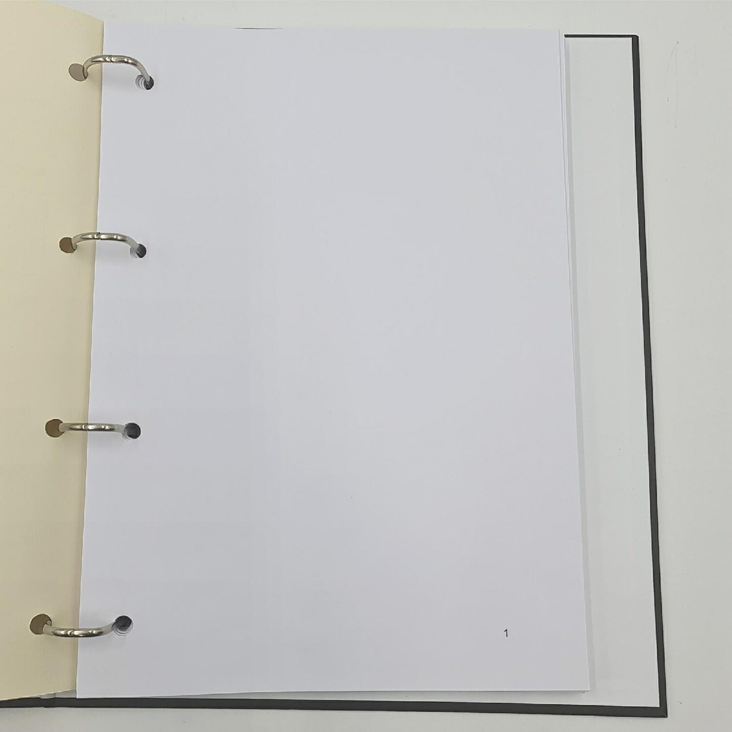 Gebraucht Register Bewegungen Titel mit Nachfüllung 50 Blatt 100 Knick Organizer Klasseur Sektionen