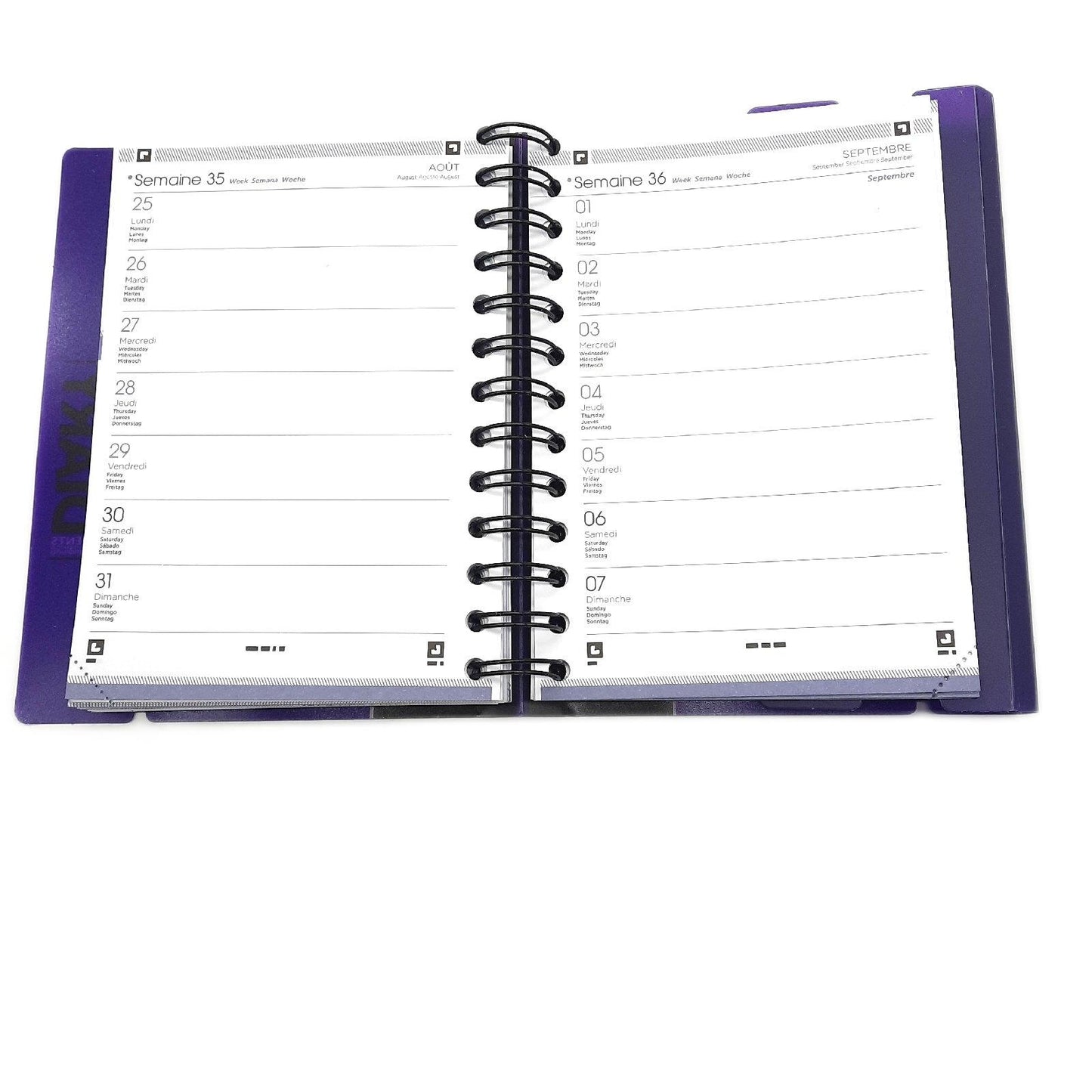 Oxford Schülerkalender Kalender Schule 2016 2017 1 Tag pro Seite 352 Seiten Violett Planung Lernen