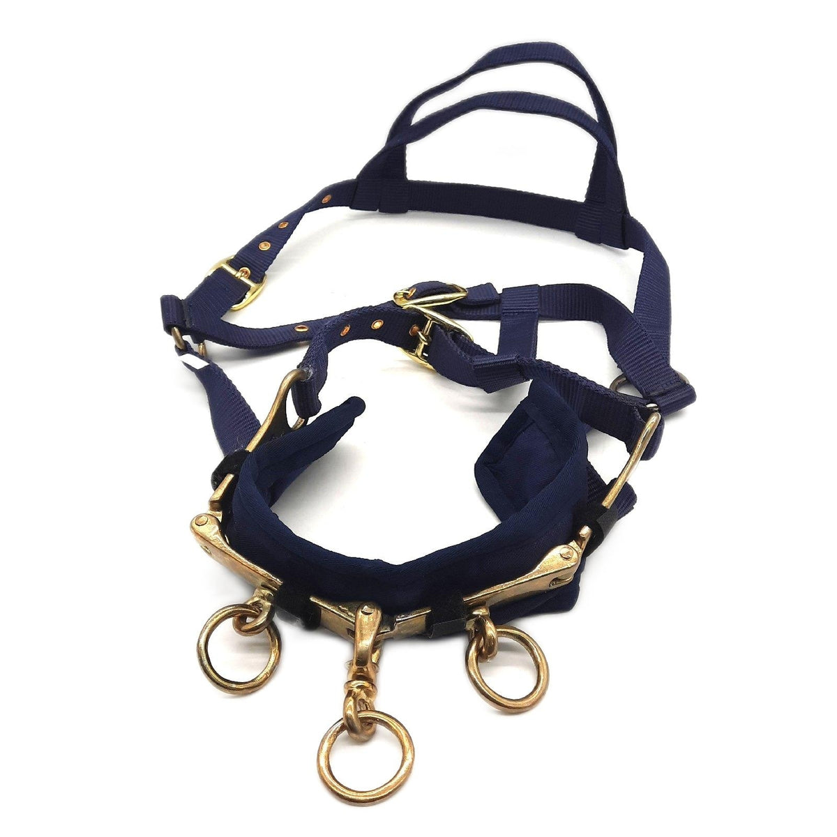 Rheingold Longiergurt Reitzubehör Nylon Longierzaum navy robust für Training