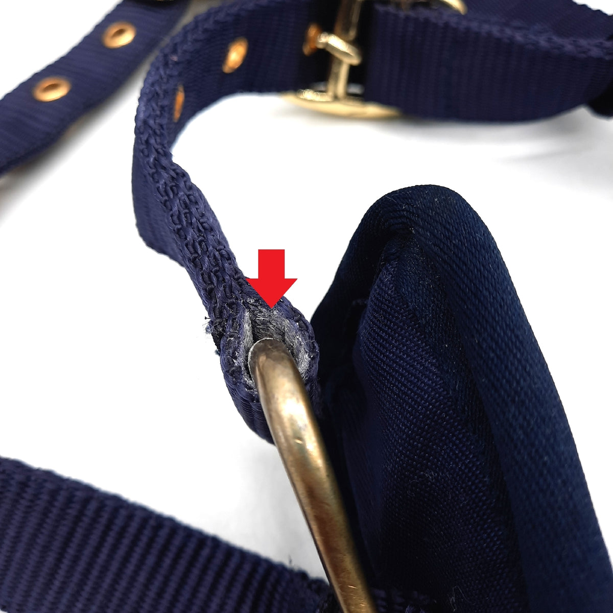 Rheingold Longiergurt Reitzubehör Nylon Longierzaum navy robust für Training