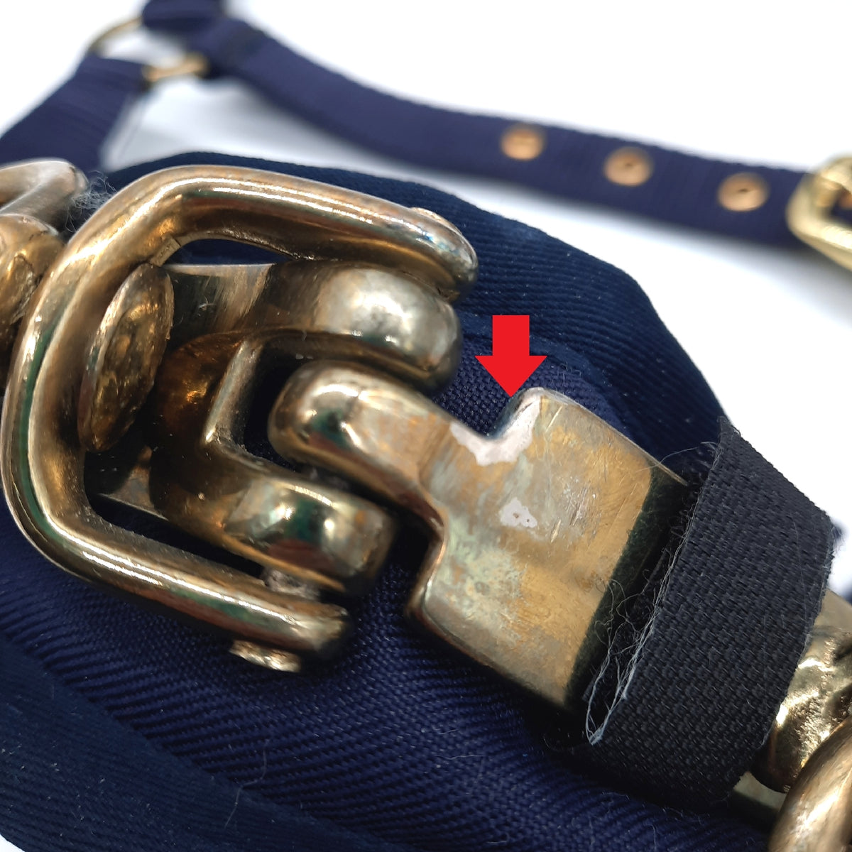 Rheingold Longiergurt Reitzubehör Nylon Longierzaum navy robust für Training