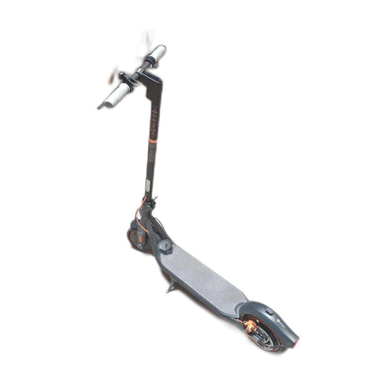 Segway-Ninebot KickScooter F40D Powered by Segway grau Uni