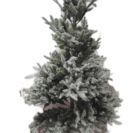 Celtis Weihnachtsbaum künstlich Weihnachtsdekoration Black Box Trees groß