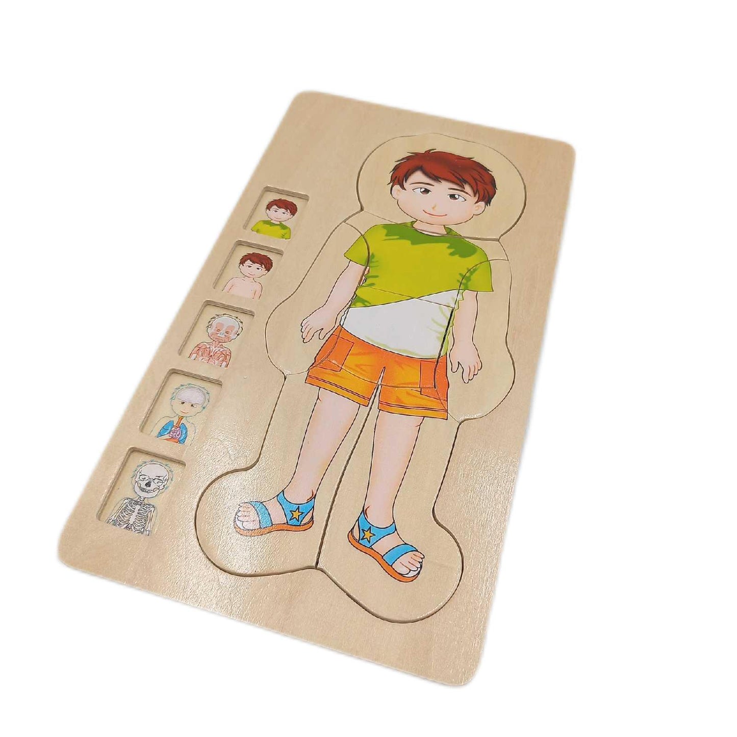 small foot Holzpuzzle Spielzeug Anatomie Junge 29 Teile Lernspiel Entdeckung Körper ab