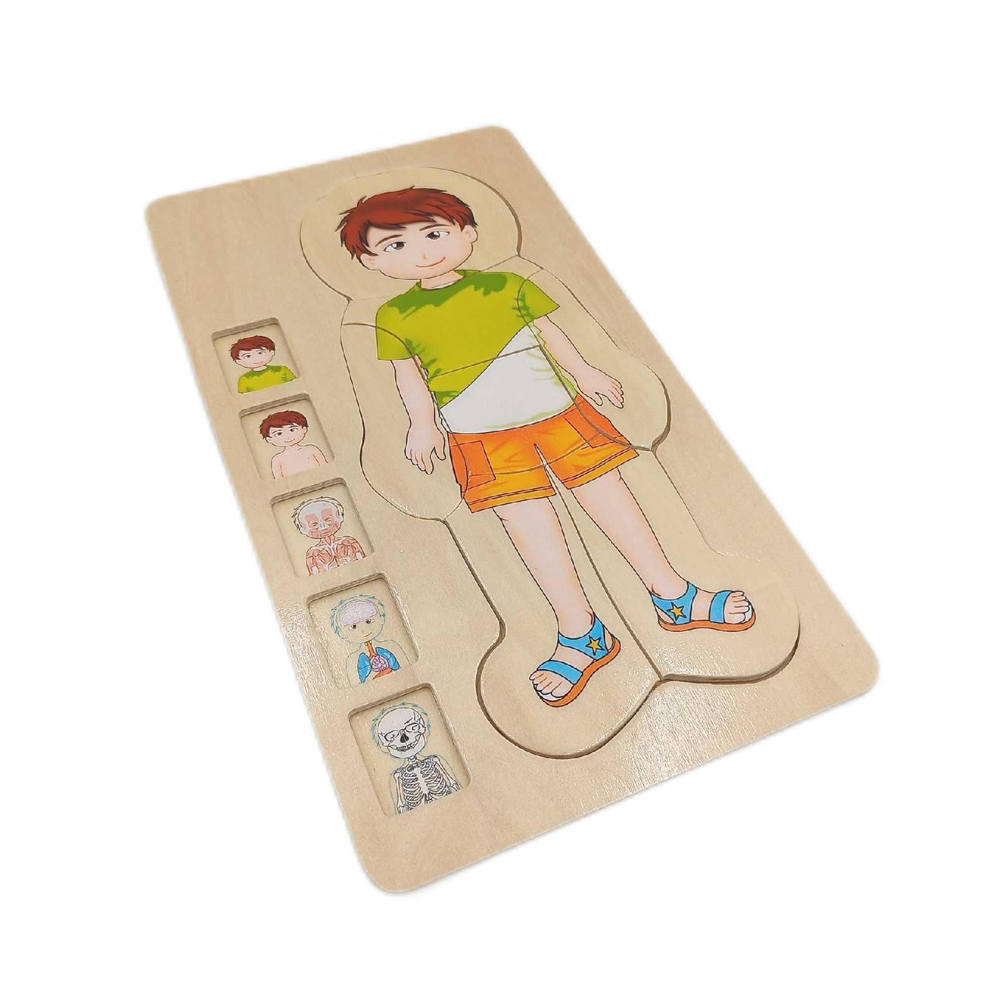 small foot Holzpuzzle Spielzeug Anatomie Junge 29 Teile Lernspiel Entdeckung Körper ab