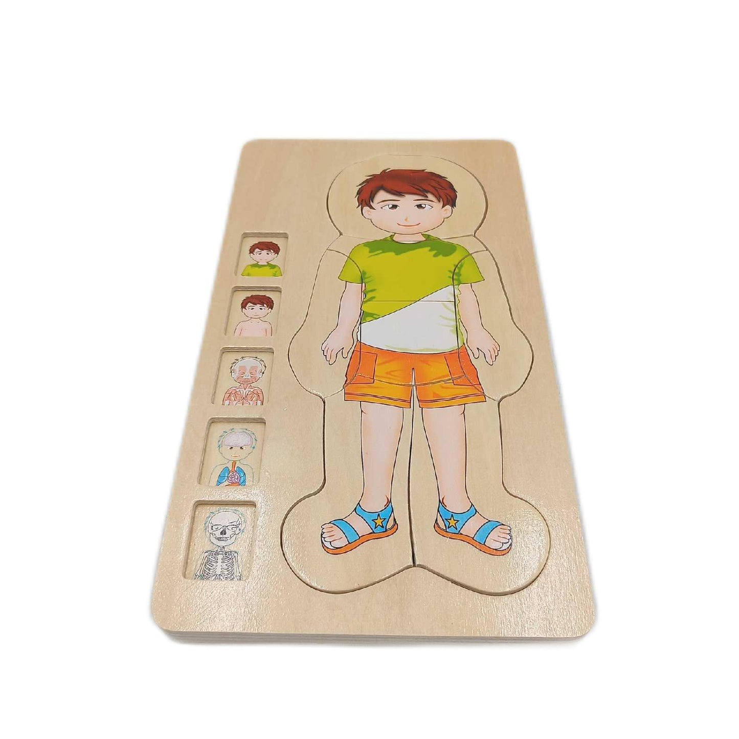 small foot Holzpuzzle Spielzeug Anatomie Junge 29 Teile Lernspiel Entdeckung Körper ab