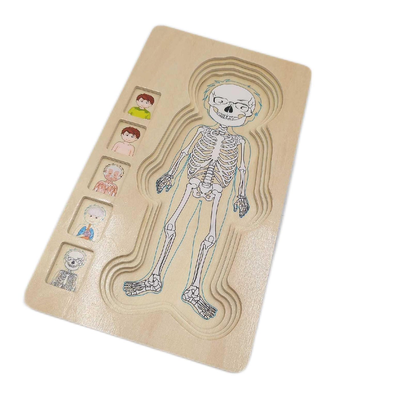 small foot Holzpuzzle Spielzeug Anatomie Junge 29 Teile Lernspiel Entdeckung Körper ab