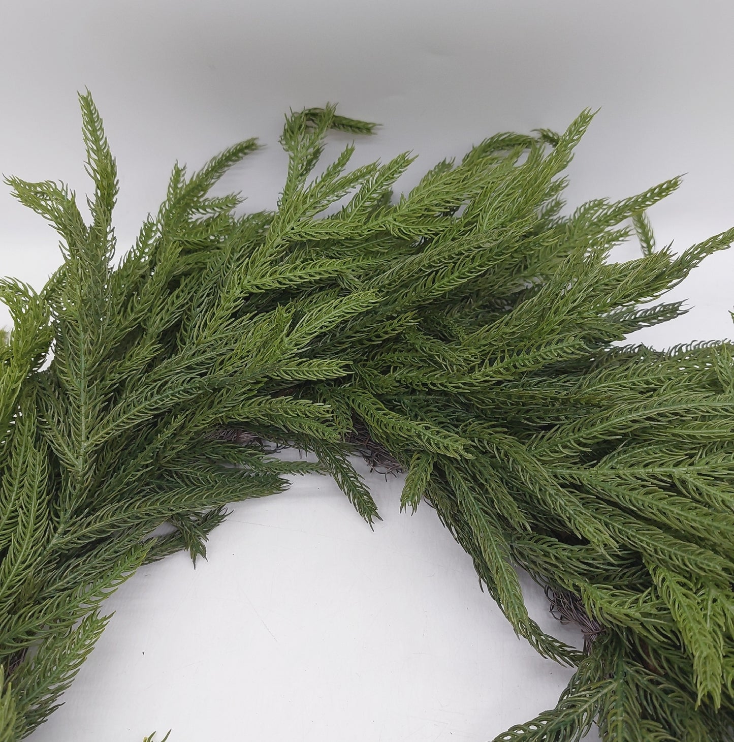 Norfolk Kiefernkranz Haustür Dekoration Weihnachtskranz grün festlich elegant flor