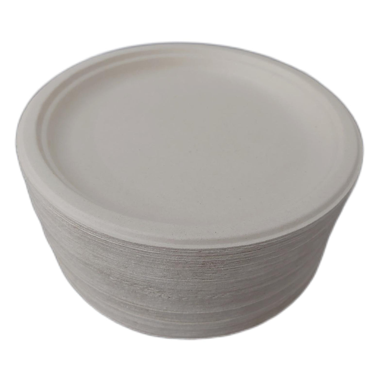 Eco Soul Einweg Bagasse Teller 25 cm 400 Stück Rund Anzahl nicht geprüft