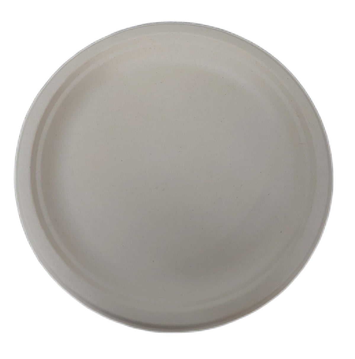 Eco Soul Einweg Bagasse Teller 25 cm 400 Stück Rund Anzahl nicht geprüft