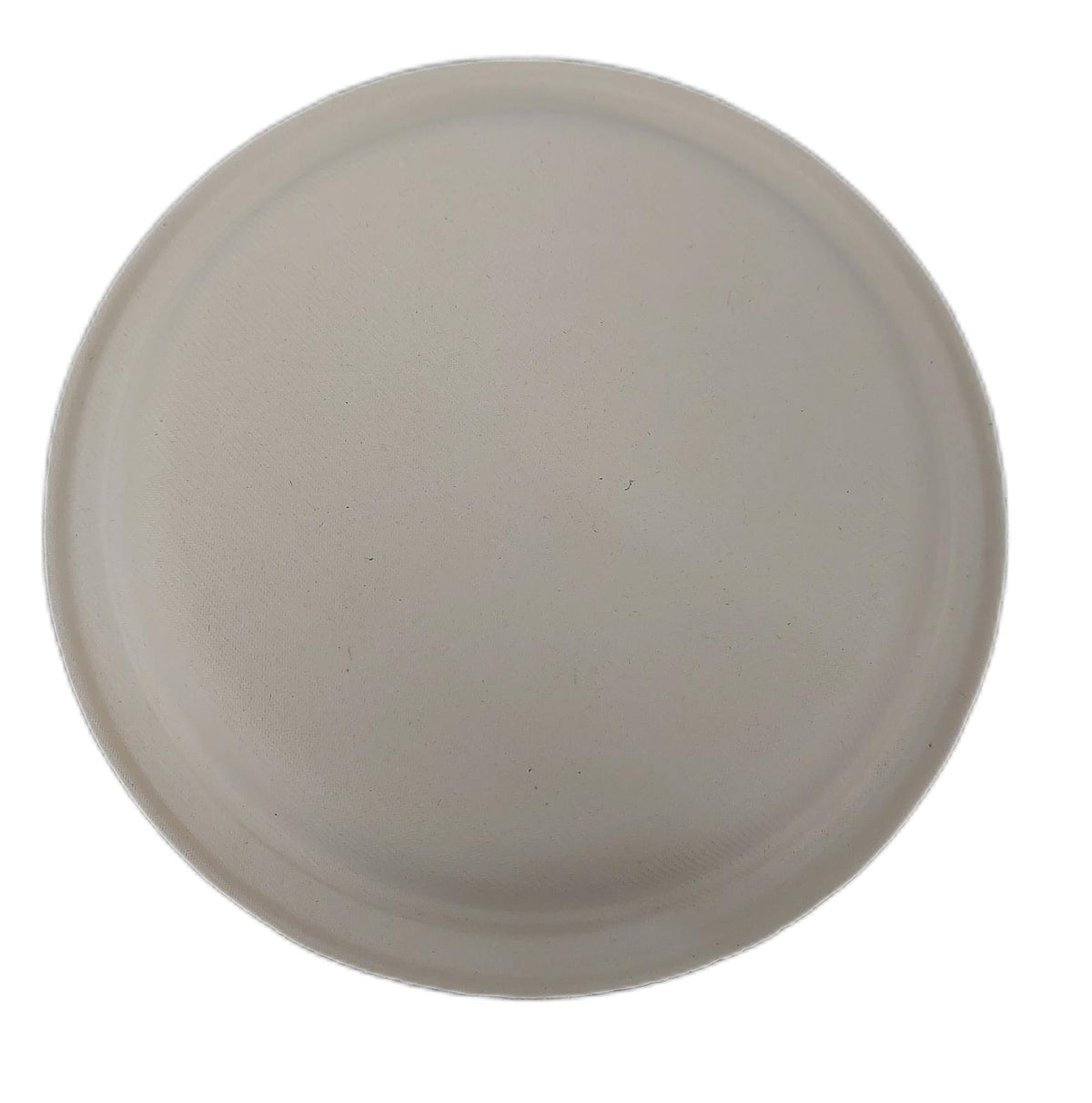 Eco Soul Einweg Bagasse Teller 25 cm 400 Stück Rund Anzahl nicht geprüft