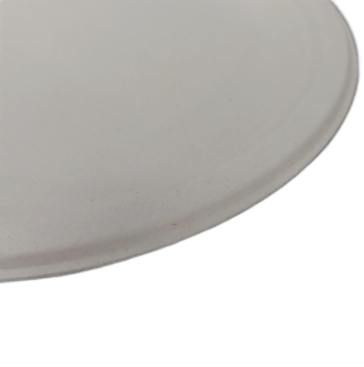 Eco Soul Einweg Bagasse Teller 25 cm 400 Stück Rund Anzahl nicht geprüft