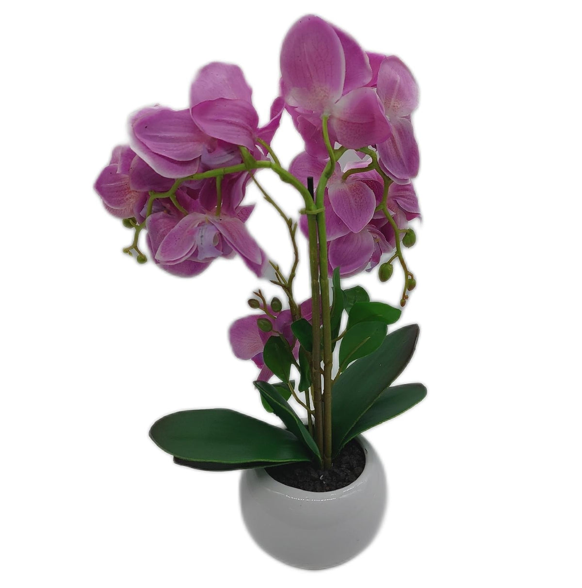 PASCH 2er Set Orchideen Kunstblumen Hellrosa in Keramik 1 Stuck