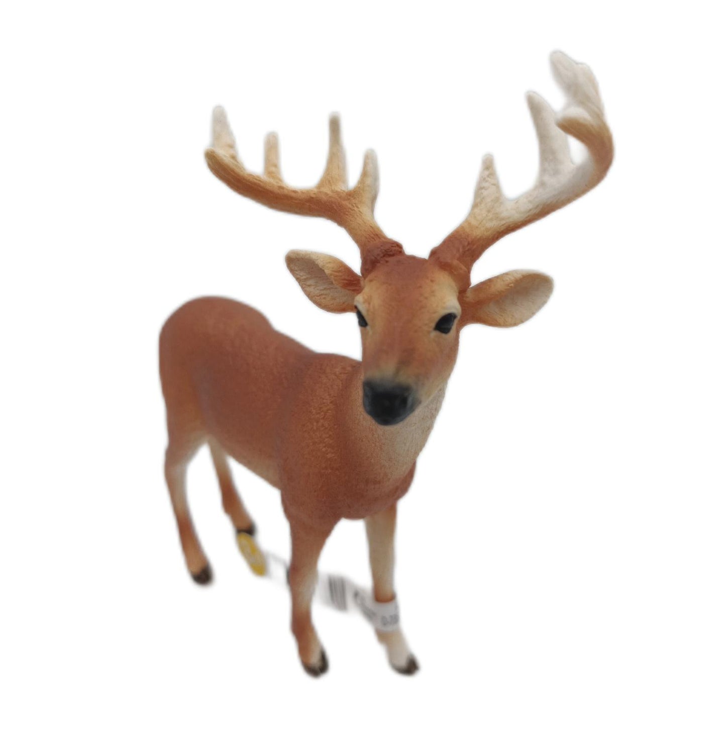 Schleich Tierfigur Spielzeug Weißwedelhirsch 14818 Wildtiere detailgetreu