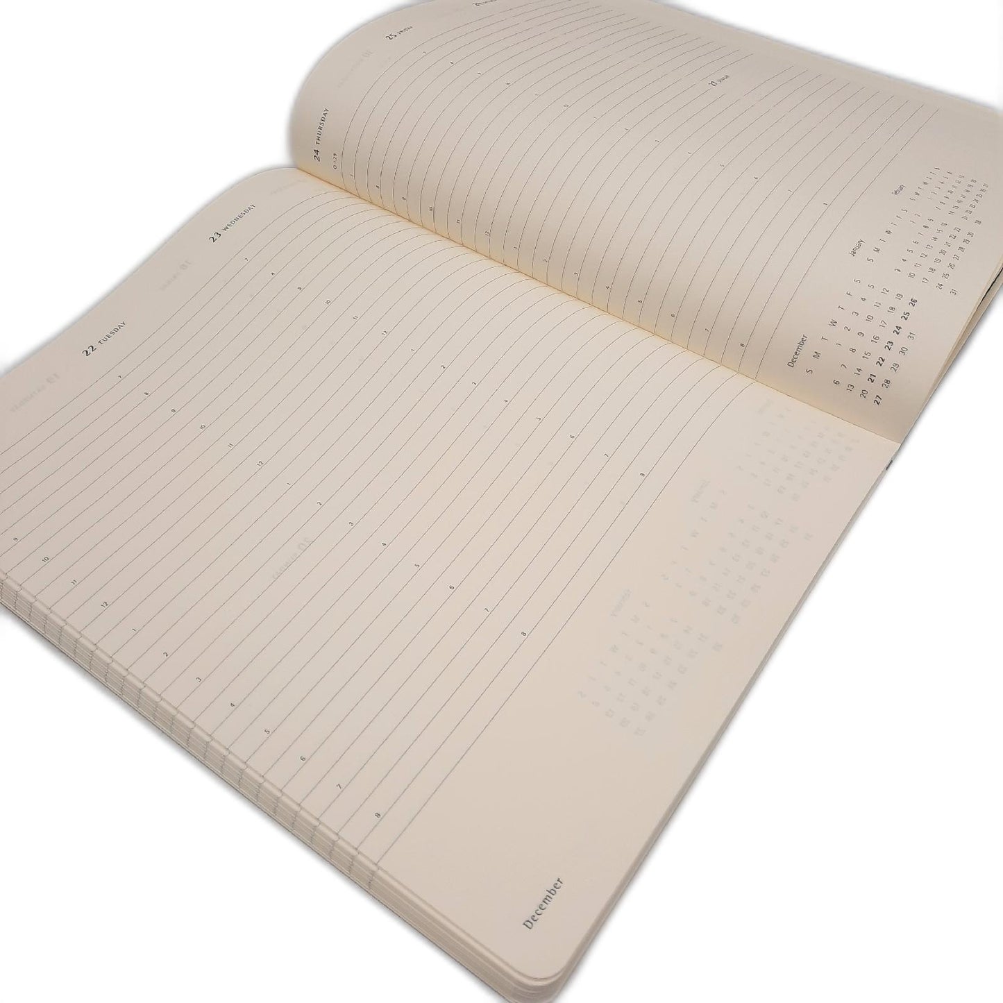 Moleskine Planer Kalender Office Essential Planner 2025 2026 Vertikal Wochenübers