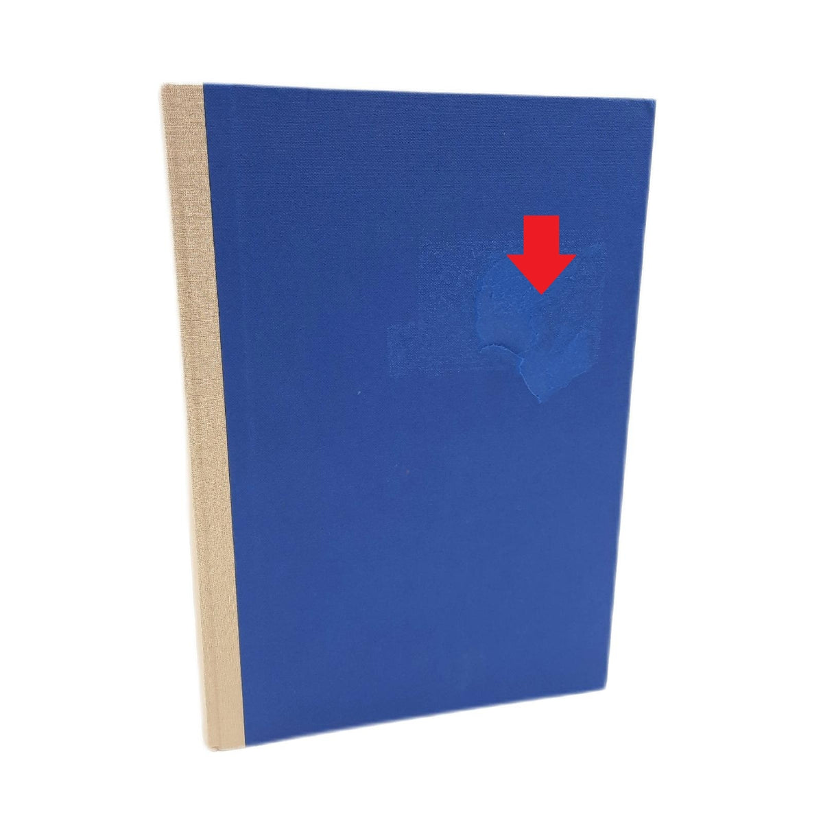 Pagna 14212-02 Geschäftsbuch PNA CLASSICA A4 Papiereinband mit Leinenstruktur  Geweberücken 96 Blatt  kariert  Farbe: blau