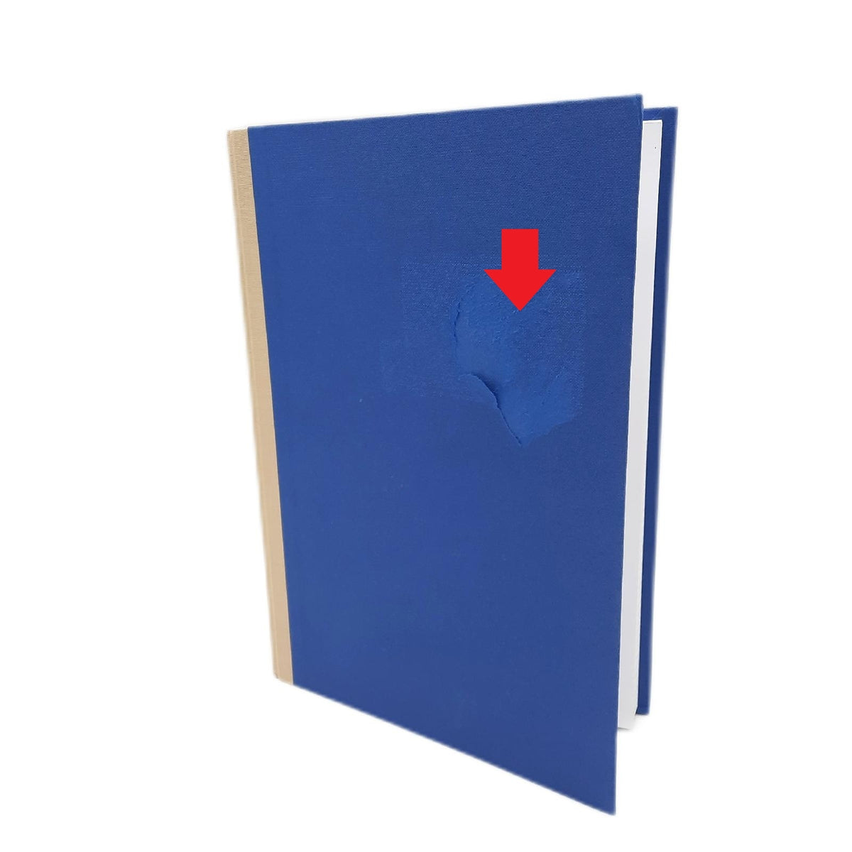 Pagna 14212-02 Geschäftsbuch PNA CLASSICA A4 Papiereinband mit Leinenstruktur  Geweberücken 96 Blatt  kariert  Farbe: blau