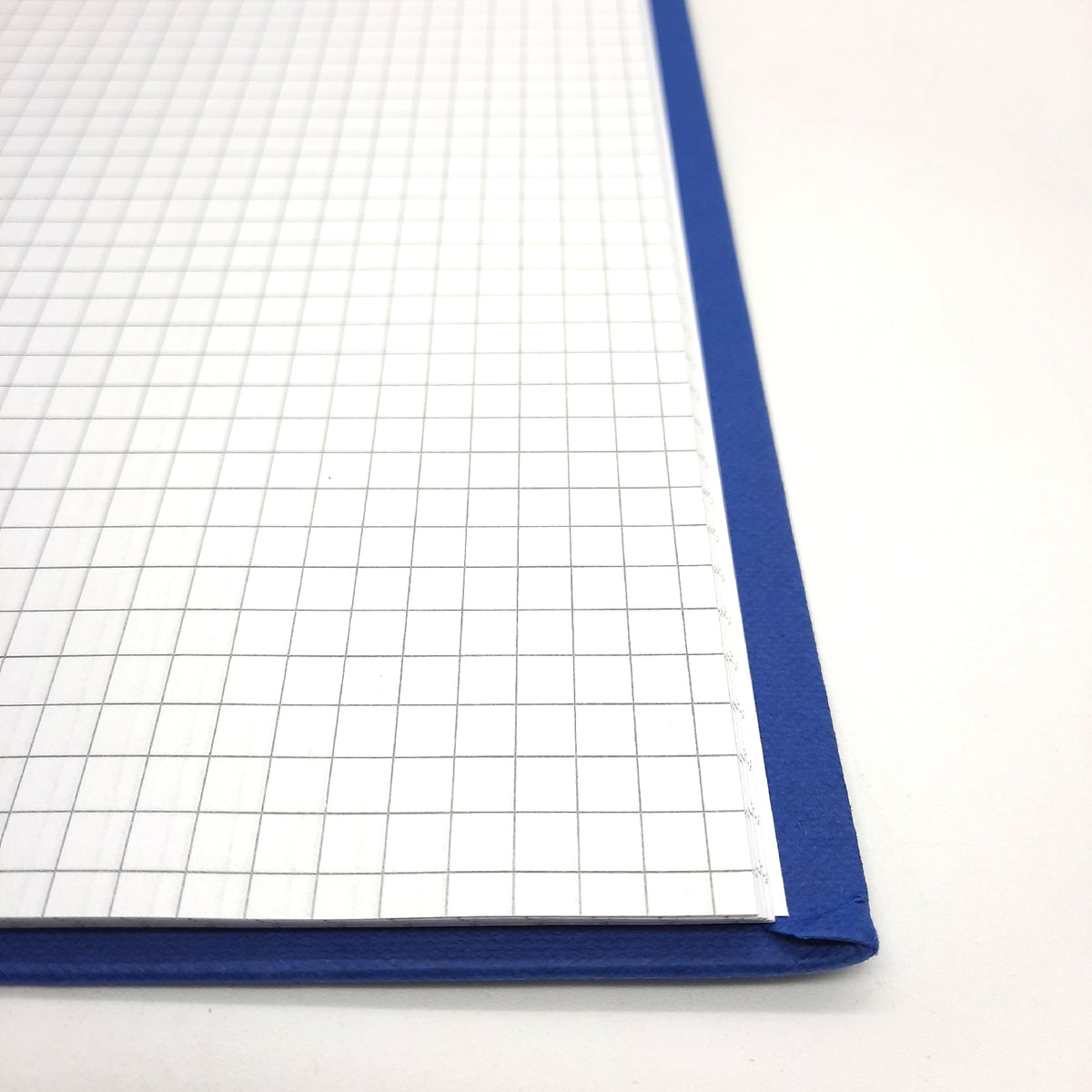 Pagna 14212-02 Geschäftsbuch PNA CLASSICA A4 Papiereinband mit Leinenstruktur  Geweberücken 96 Blatt  kariert  Farbe: blau