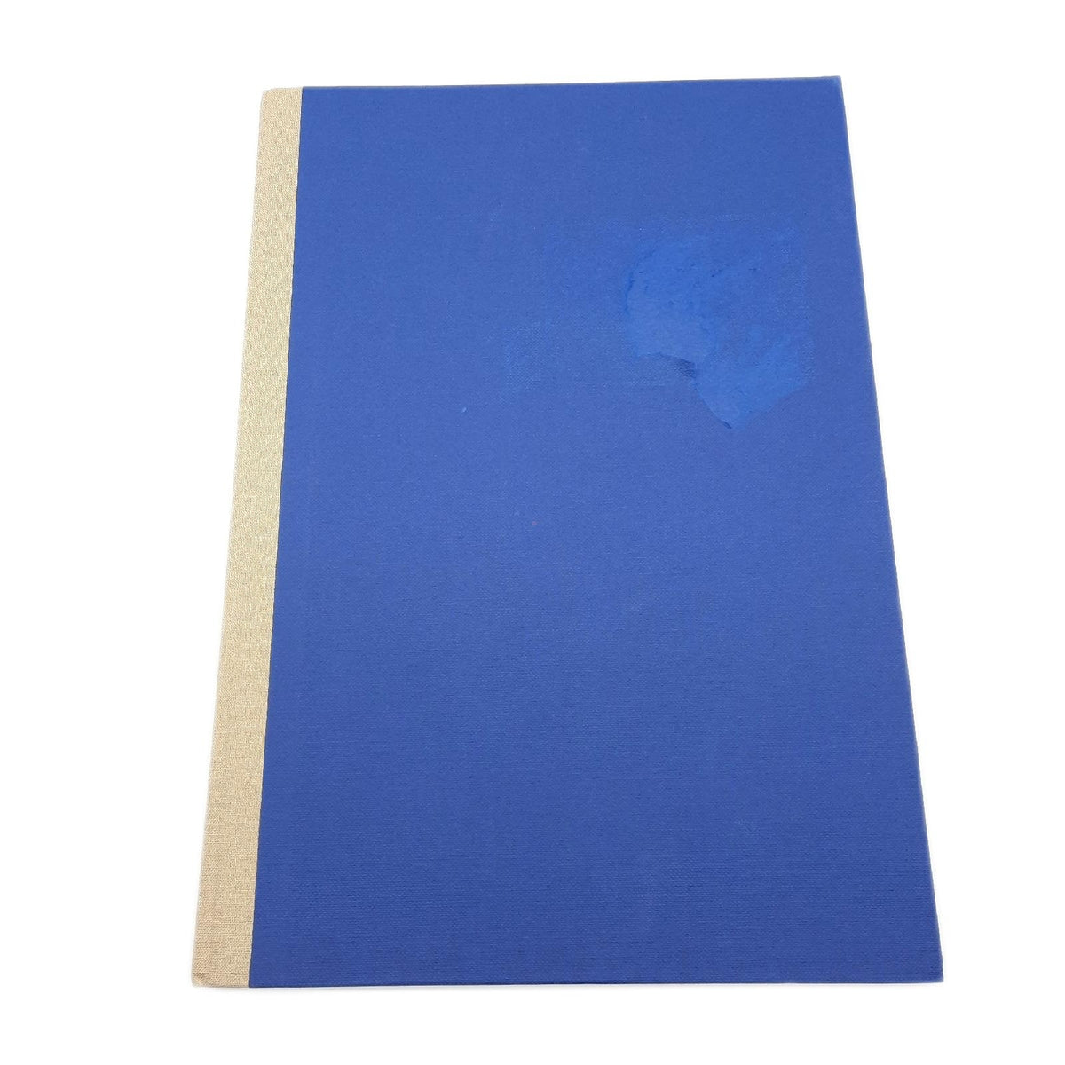 Pagna 14212-02 Geschäftsbuch PNA CLASSICA A4 Papiereinband mit Leinenstruktur  Geweberücken 96 Blatt  kariert  Farbe: blau
