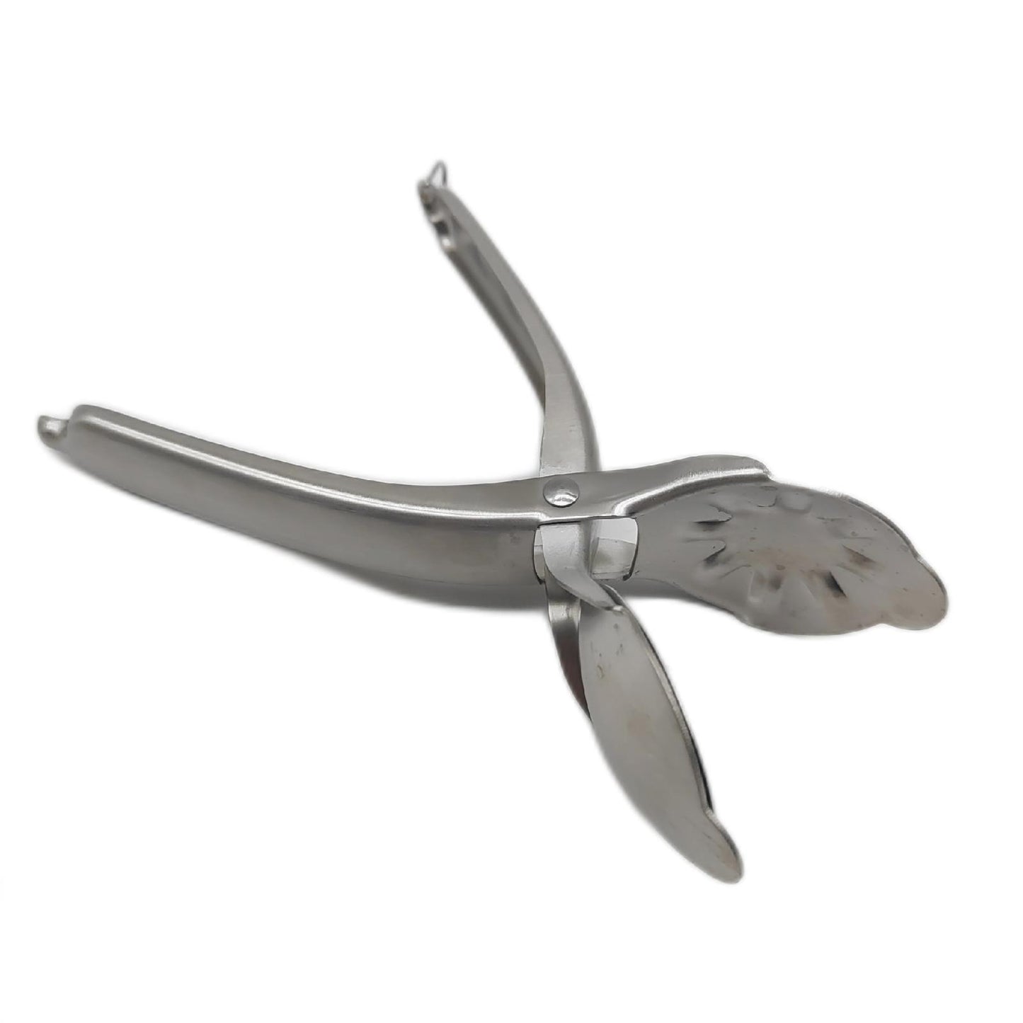 Westmark Maronenschneider gezackten Klingen Länge: 20 cm Rostfreier Edelstahl