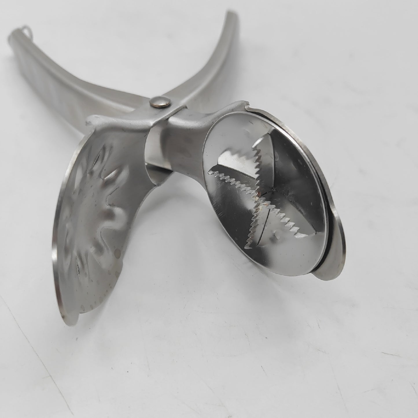 Westmark Maronenschneider gezackten Klingen Länge: 20 cm Rostfreier Edelstahl