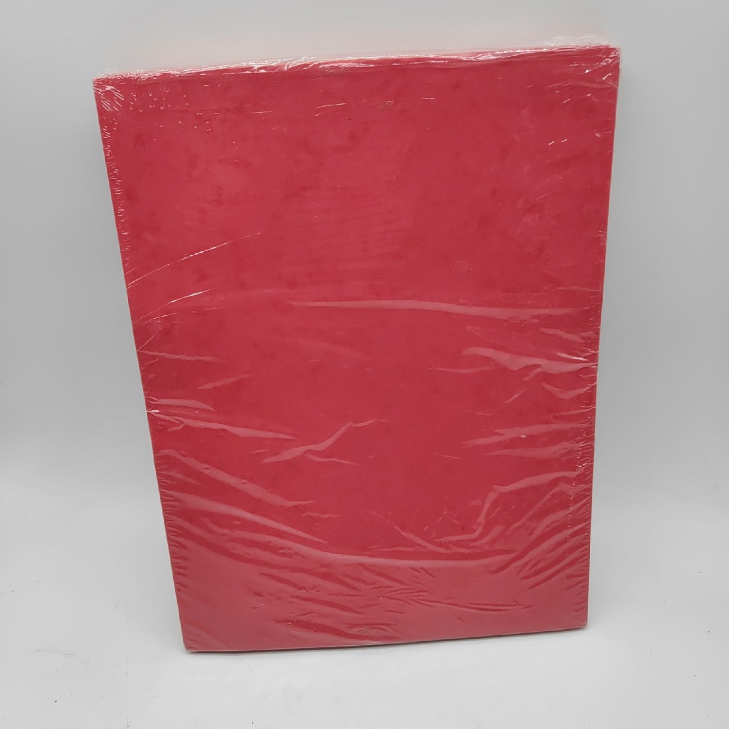 Exacompta Mappen Bürobedarf 55305E Packung 10 Elastische Einstecktaschen Ordnerorganizer