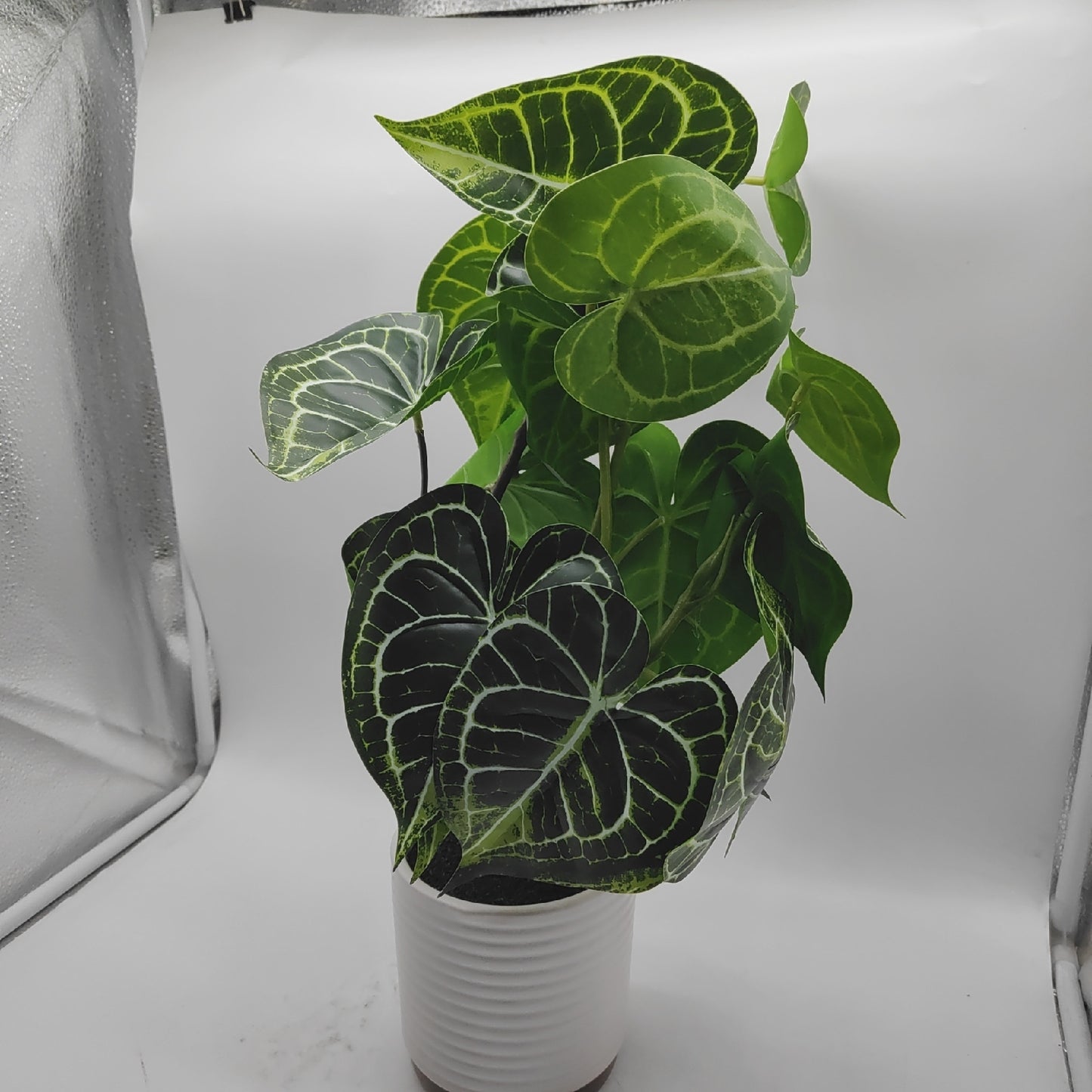 Anthurium Kunstpflanze Wohnaccessoires Crystallinum Dekoration 55CM Wie Echt