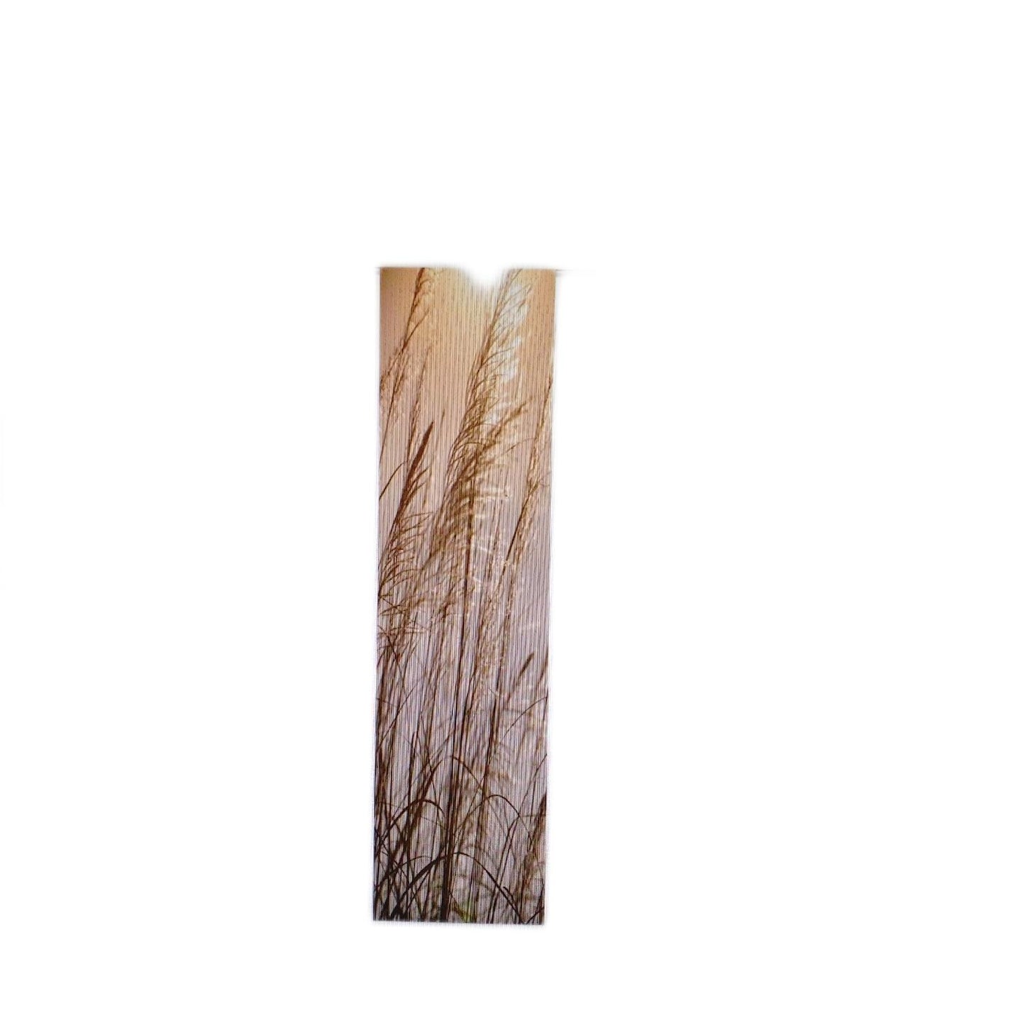 Home fashion Schiebevorhang Gardinen Caruso Digitaldruck Stoff Natur 245 x 60 cm