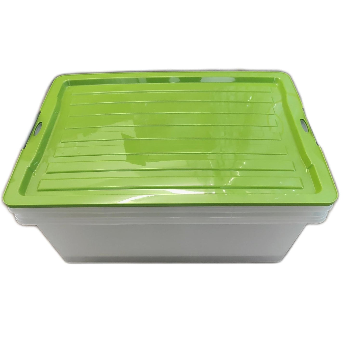 Rotho Compact 2er Set Aufbewahrungsbox 38l Kunststoff PP 2 St