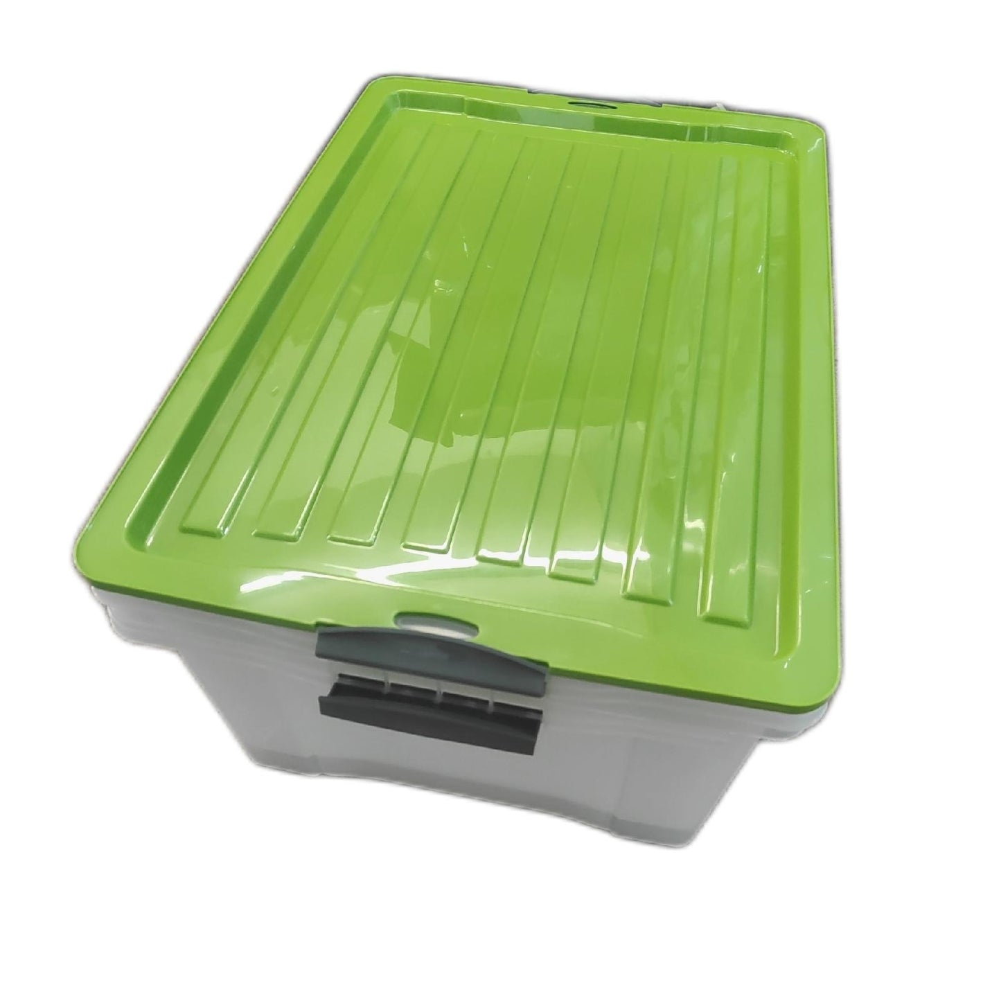 Rotho Compact 2er Set Aufbewahrungsbox 38l Kunststoff PP 2 St