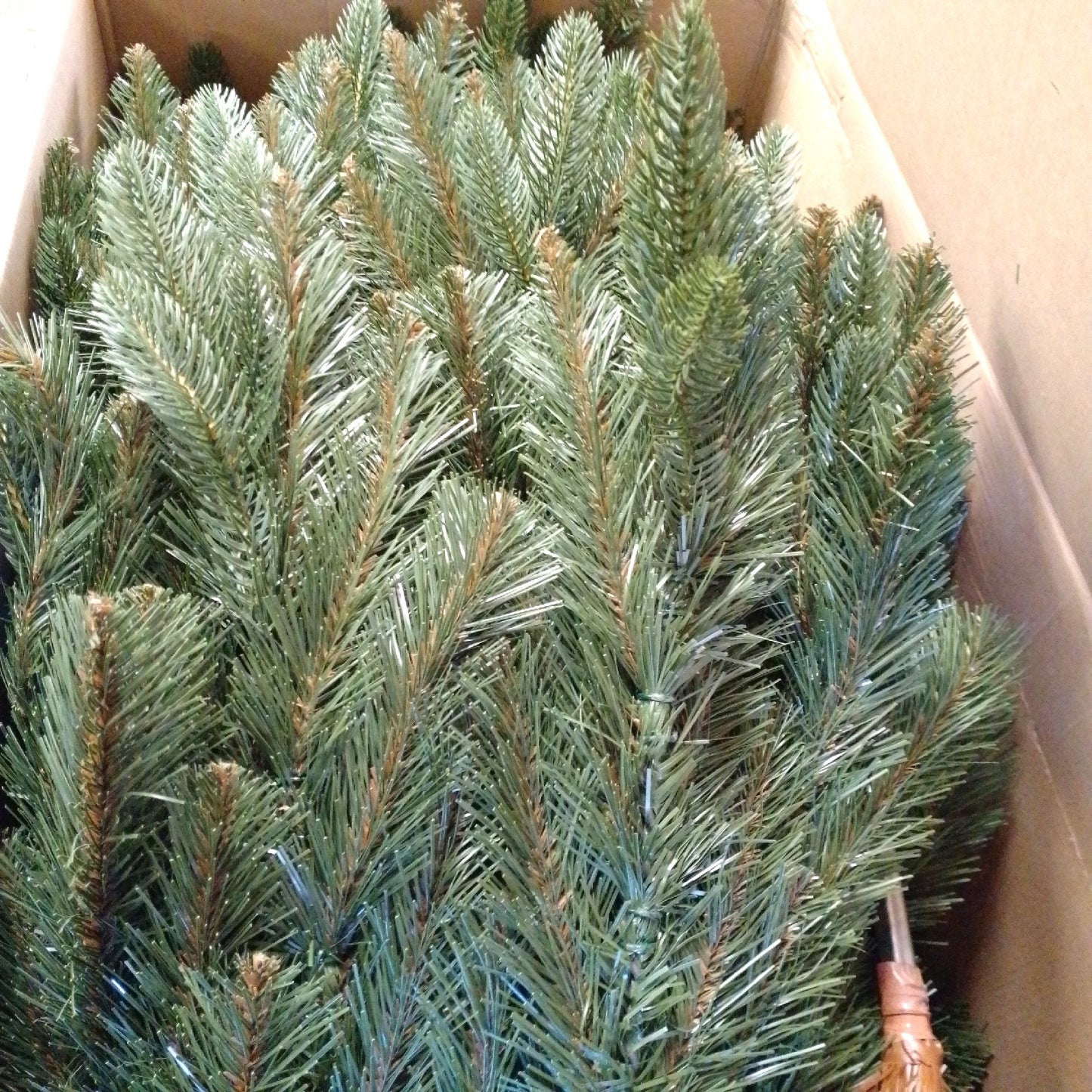FairyTrees Weihnachtsbaum künstlich Nordmanntanne Weihnachtsdekoration Premium 220 cm naturget