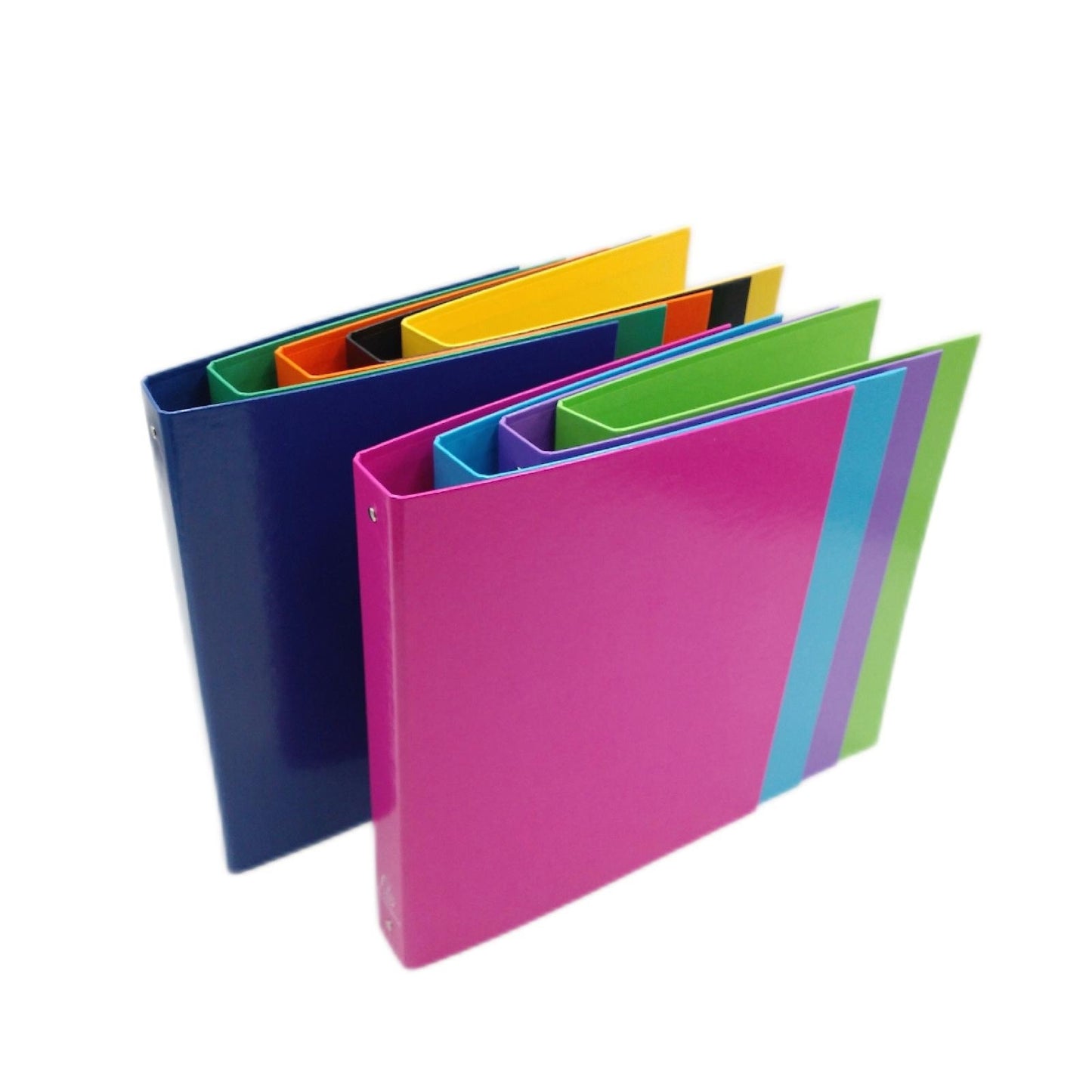 Exacompta Ref 51929E Karton 9 starre Ordner Pelliculated I