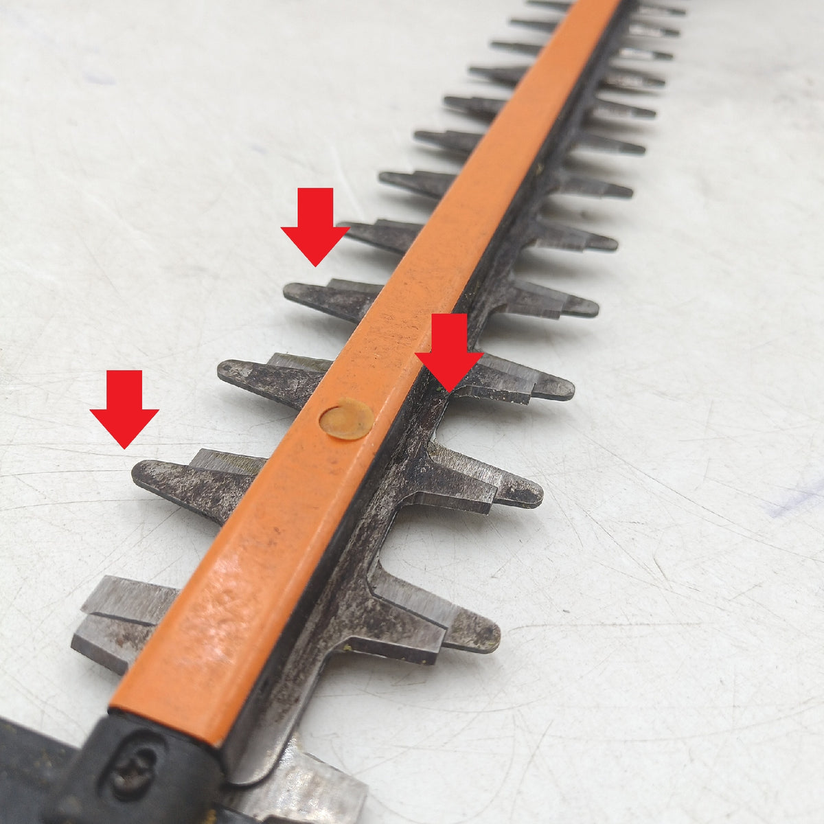 WORX Akku Heckenschere Gartengeräte WG286E9 Nitro Profi für präziser