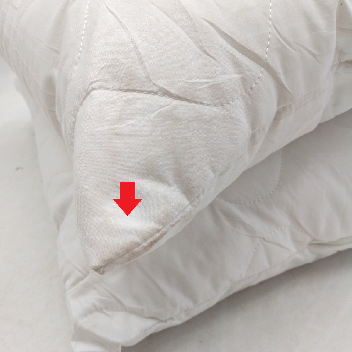 sleepling Kissen Bettwaren 60x60 cm Set Doppelpack allergiker geeignet wasch