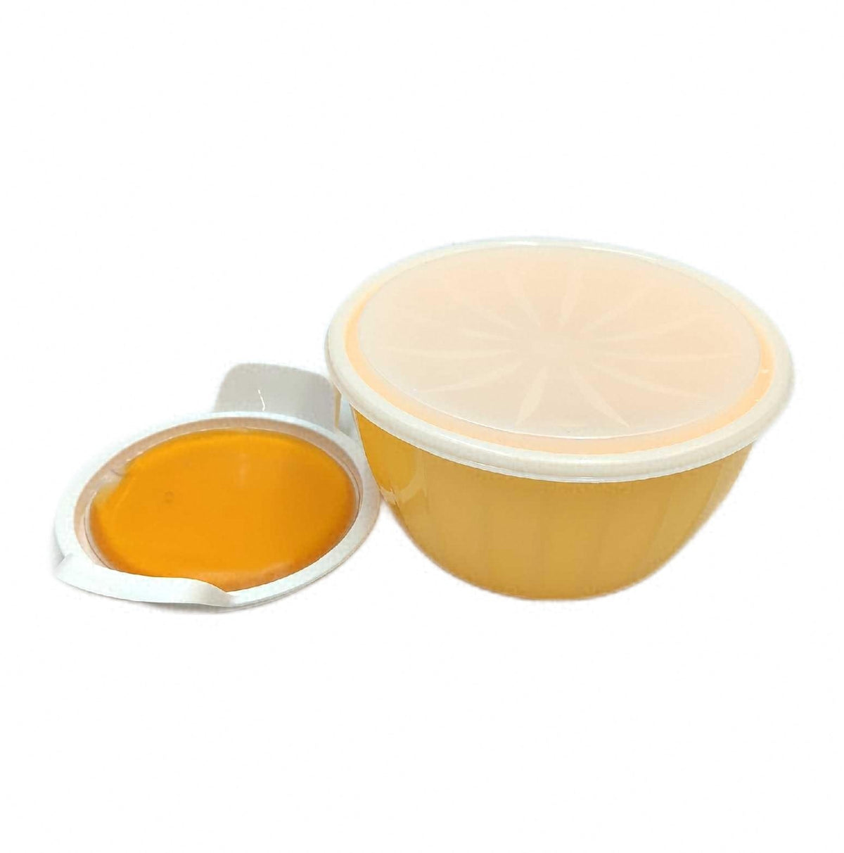 Tescoma Hefeteigschüssel Delicia 26 cm mit Gelkissen Popp Deckel Küchenhelfer