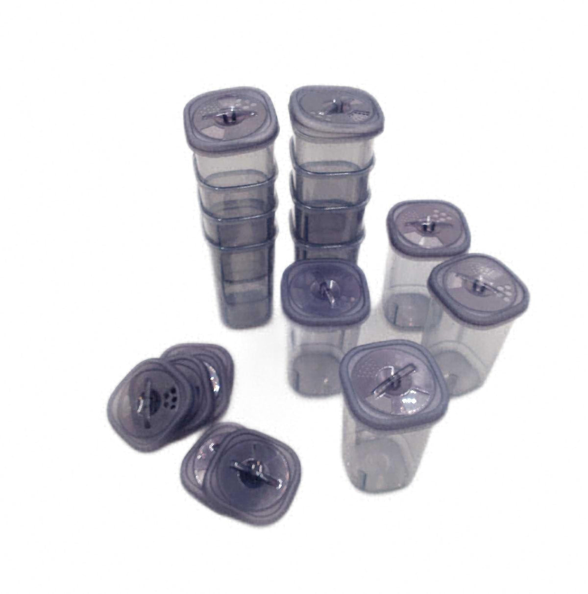 Gewürzbox aus Kunststoff 12er Set transparente Gewürzdose BPA frei Gewürzbehälter