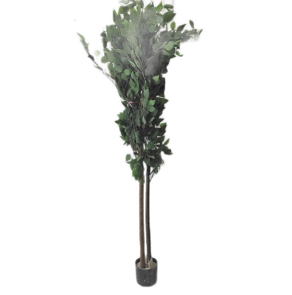 Maia künstlicher Ficus 150 cm realistische dekorative Zimmerpflanze Kunstpflanze