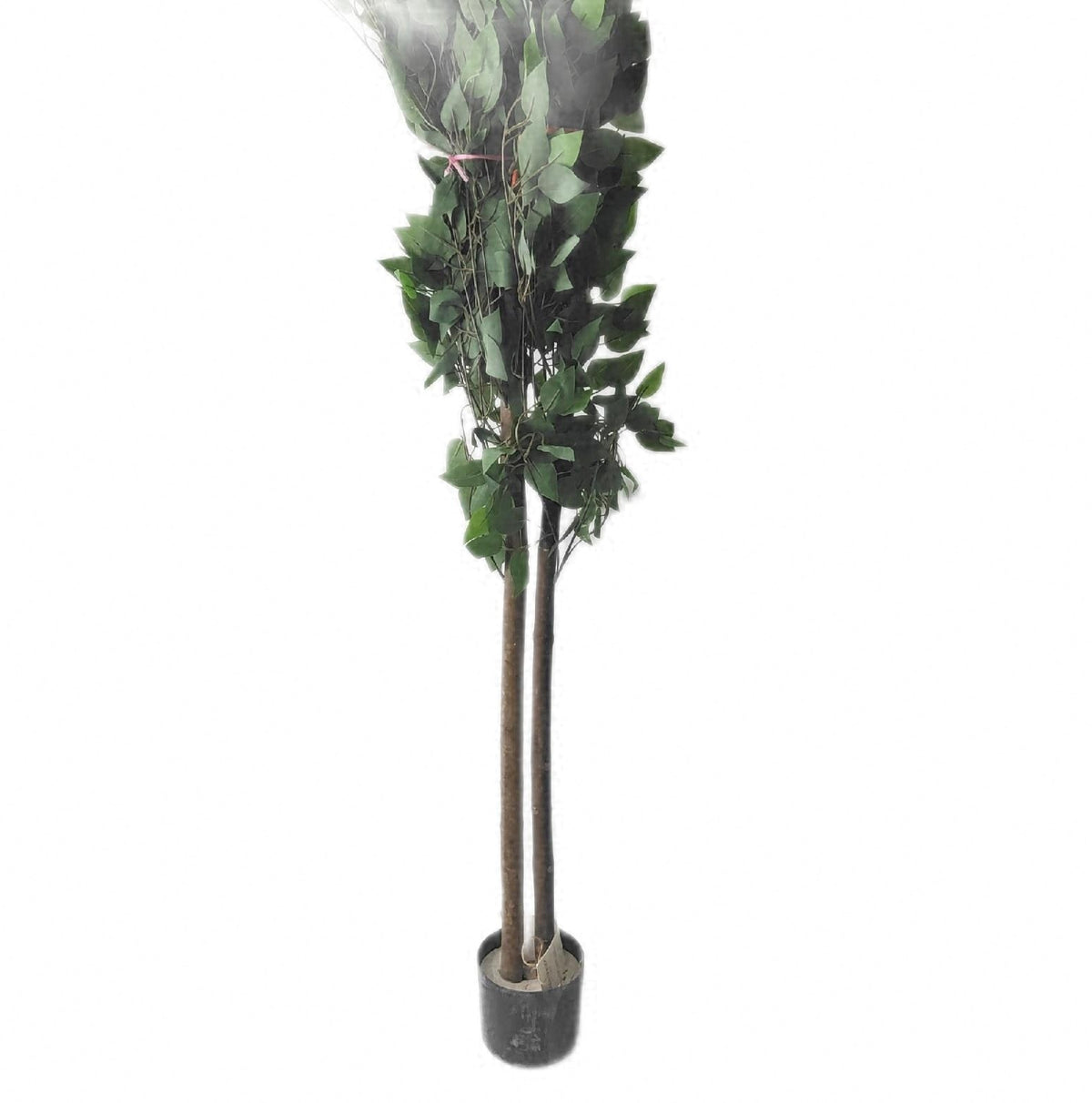 Maia künstlicher Ficus 150 cm realistische dekorative Zimmerpflanze Kunstpflanze