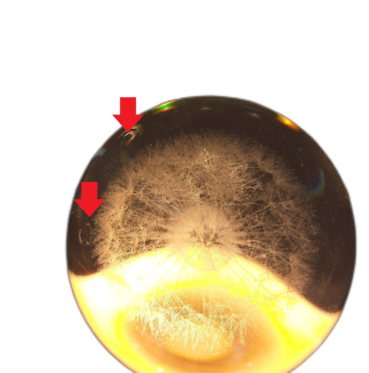 AWARDSEN 60 mm Kristallkugel mit 3D Motiv Löwenzahn Pusteblume im Glas Dekoration